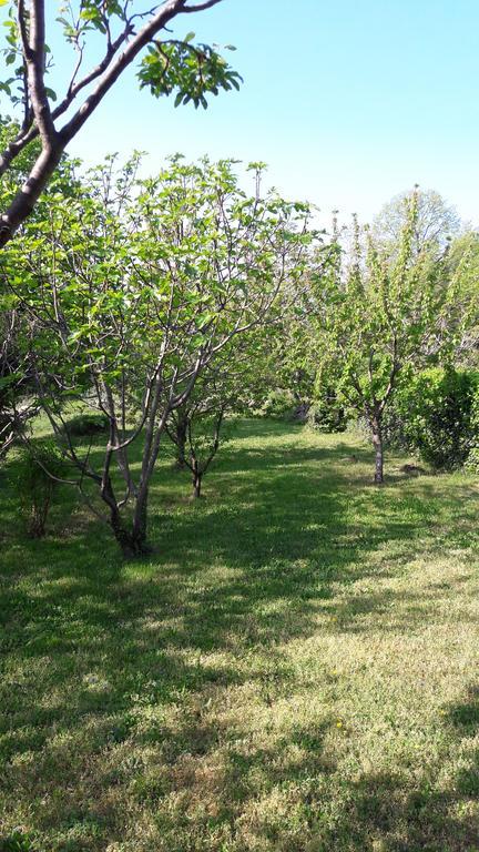 Apartment Lucija Bakar Εξωτερικό φωτογραφία
